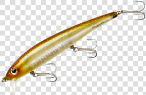 Suspending Pro Long A   Transparent Fishing Lure  HD Png Download