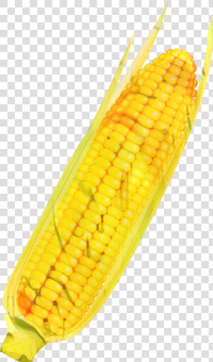 Corn On The Cob Commodity   Corn On The Cob  HD Png Download