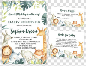 Safari Animals Baby Shower Invitation Pack   Jungle Animal Baby Shower Invites  HD Png Download