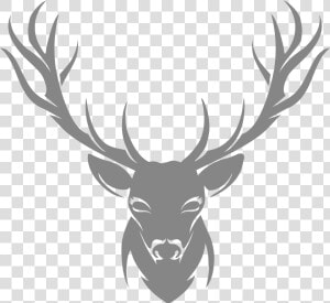 Moose  Elk Png   Stag Stencil  Transparent Png