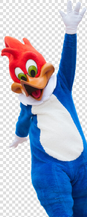 Transparent Woody Woodpecker Png   Woody The Woodpecker Toys  Png Download