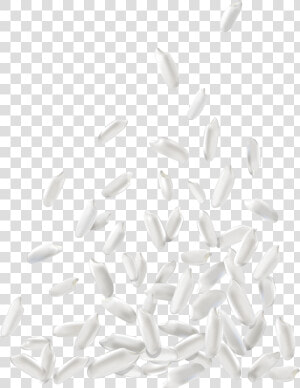 White Rice Png Download Image   Grain Rice Vector  Transparent Png