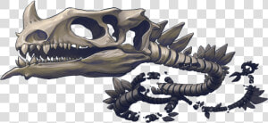 Dragon Corpse   Skull  HD Png Download