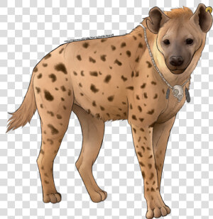 Hyena Png Free Images   Spotted Hyena  Transparent Png