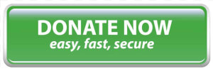 Button Donate Now   Donate Now  HD Png Download