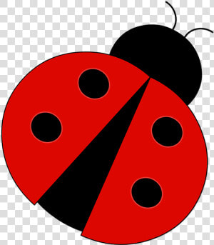 Download Red Ladybug Png Pic   Clip Art Ladybug  Transparent Png