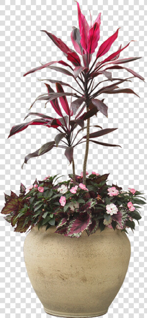 Indoor Plant Potted Plants Png Download   Potted Plants Png Flowers  Transparent Png