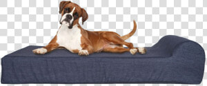 Dog On Bed   Memory Foam Orthopedic Dog Bed  HD Png Download