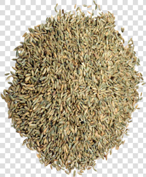 Organic Rye Grain   Cumin  HD Png Download