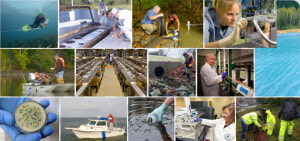 Epa Researchers Conducting Research From Left To Right   Collage  HD Png Download