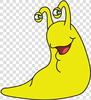 Banana Slug Clipart  HD Png Download