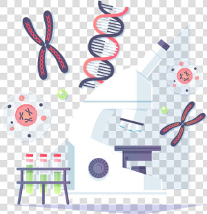 Molecular Structure Transparent Background   Clip Art  HD Png Download