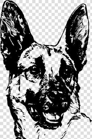 Face Drawing At Getdrawings   German Shepherd Face Vector  HD Png Download