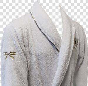 Destiny 2 Guardian Bathrobe   Hornet  HD Png Download