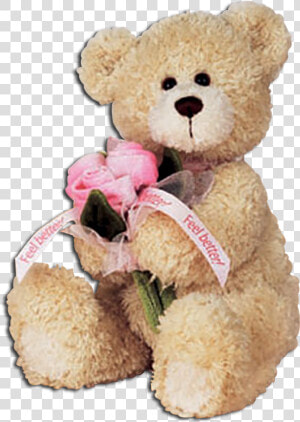 Gund Feel Better Teddy Bear With Pink Roses  HD Png Download