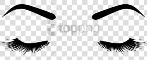 Eyelash Transparent Background   Lash Lifting Png  Png Download