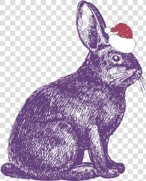 Rabbit Show Jumping Drawing Illustration   Rabbit Drawing  HD Png Download