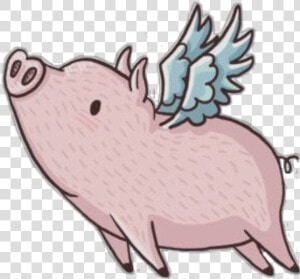  pig  flying  freetoedit   Cartoon Pig With Wings  HD Png Download