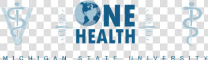 Msu One Health Club   World Map  HD Png Download