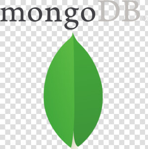 Png Transparent Mongodb Icon Mongodb Logo  Png Download