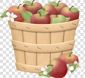 Png Pinterest Clip Art   Basket Png For Apples  Transparent Png