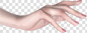 Girl Hand Png Image Background   Female Hand Png  Transparent Png