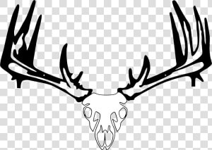 Vector Freeuse Download Whitetail Crossbow   Pse Archery  HD Png Download