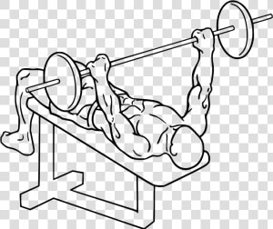 Decline Barbell Bench Press   Decline Bench Press Gif  HD Png Download