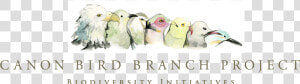 Canon Bird Branch Project   Lovebird  HD Png Download