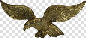 Top Images For American Brass Eagle Plaque On Picsunday   Red tailed Hawk  HD Png Download