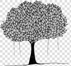 Black And White Picture Of Banyan Tree   Drawing Of Peepal Tree  HD Png Download