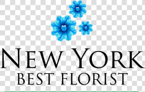 New York Best Florist   Centro De Enseñanza Técnica Y Superior  HD Png Download