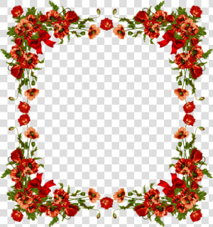 Poinsettia Flower Border Png  Transparent Png