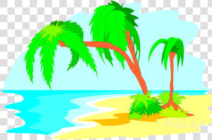 Palms Png  Transparent Png