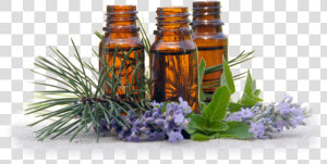 Why Use A Certified Aromatherapist   Aromatherapy Png  Transparent Png