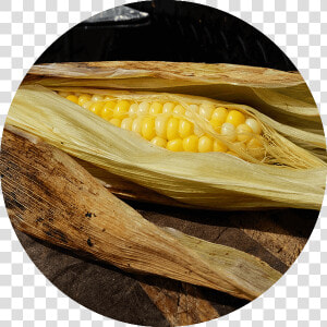 Corn On The Cob   Corn Kernels  HD Png Download