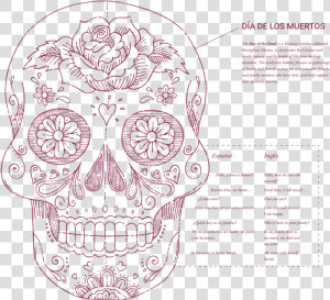 Blueprint Information Modern Foreign Language   Skull  HD Png Download