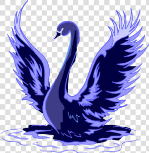 Black Swan Trumpeter Swan Bird Clip Art   Swan Art Png  Transparent Png