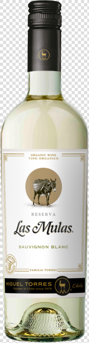 Viu Manent Reserva Sauvignon Blanc  HD Png Download