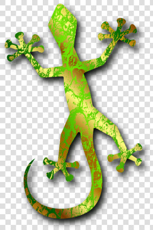 Gecko 3 By Merlin 2525 555px   Gecko Image Transparent  HD Png Download