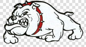 Bulldog Best Clipart File Free Vector Images Design   Cartoon Georgia Bulldogs Mascot  HD Png Download