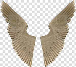 Wing  Monument  Marble  Sculpture  Angel  Angel Wings   Stone Angel Wings Png  Transparent Png