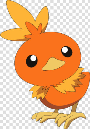 Torchic Png  Transparent Png