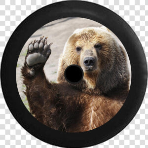 Jeep Wrangler Jl Backup Camera Waving Brown Grizzly   Waving Bear  HD Png Download