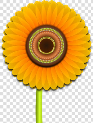 Sunflower Flower Nature Free Photo   Vector Hoa Huong Duong  HD Png Download