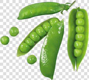 Green Pea   Png Download   Green  Transparent Png