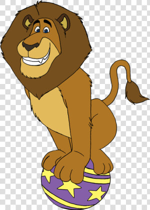 Pix For Circus Lion Cartoon   Alex The Lion Circus  HD Png Download