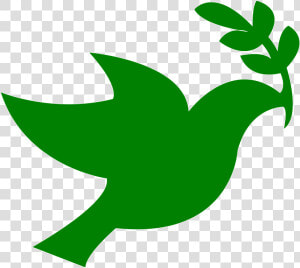 Vector Bird Dove   Peace Dove Green  HD Png Download