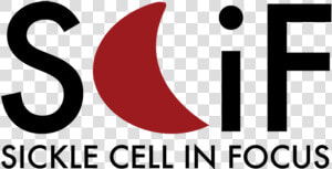 Sickle Cell In Focus   Graphic Design  HD Png Download