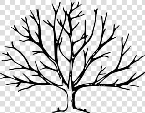 Branch Clipart Outline Trees No Leaves   Tree With No Leaves  HD Png Download